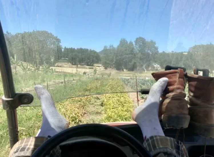 [selling] These socks have been put to good use over the years of farming 😝 worked holes in the heels. Hot days all cooped up in boots🥵😷 Would be a shame if no one got to love them 😘