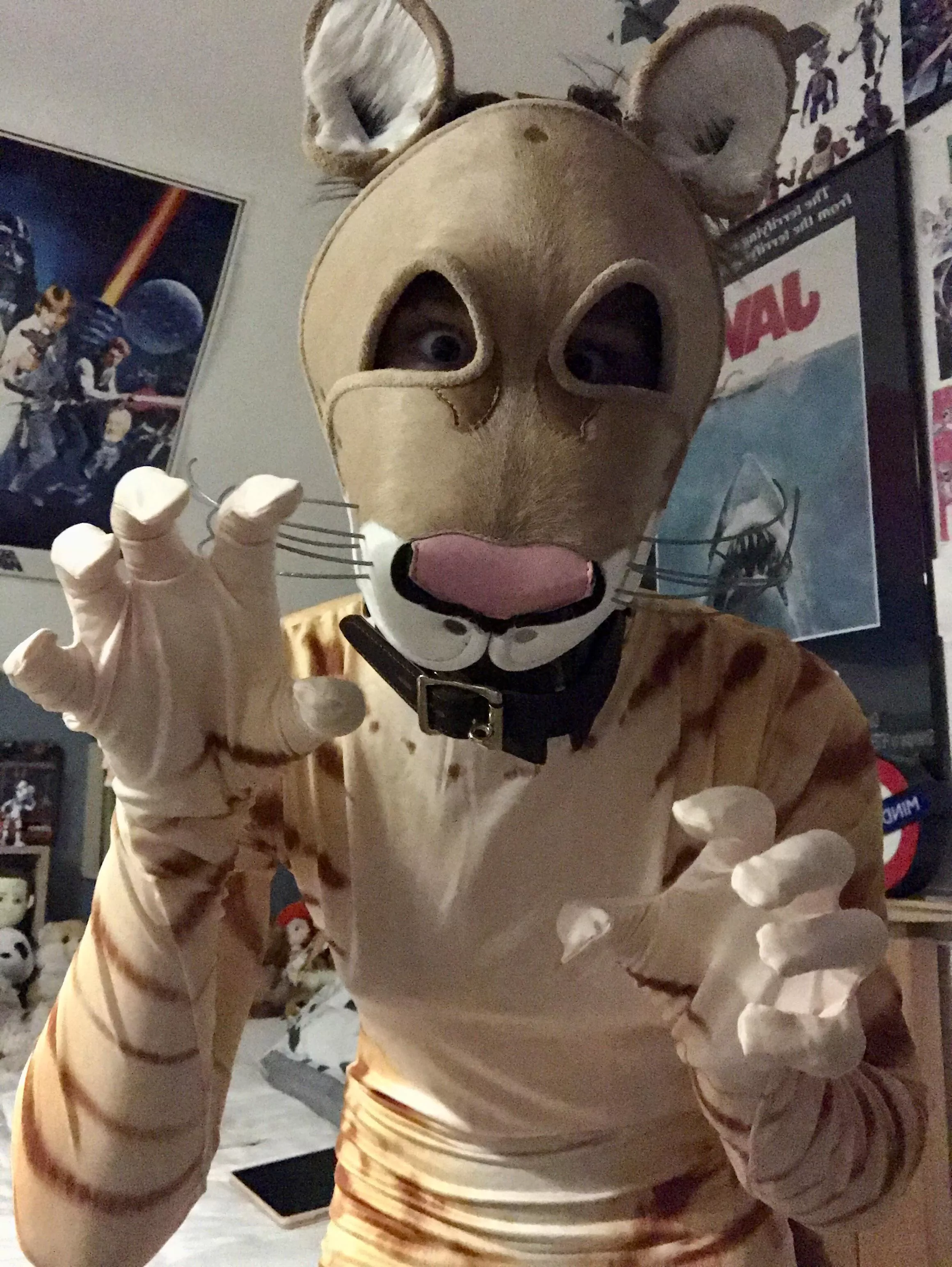 This cat is crazy crazy :D