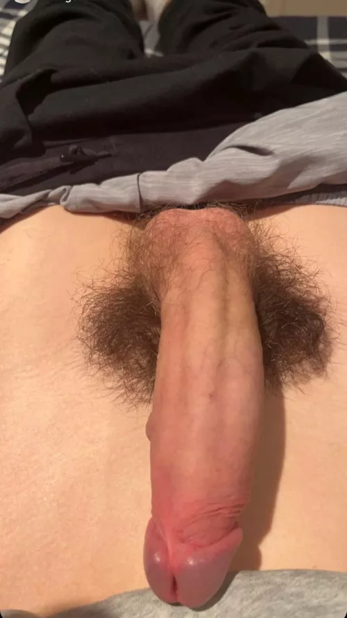Upvote if my cock is bigger than yours
