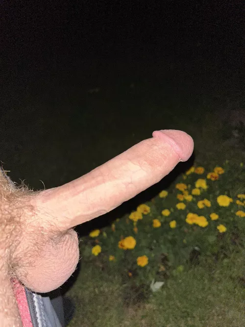 Wishing someone would suck it