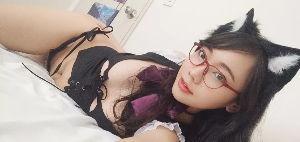 Would you pet this cat??