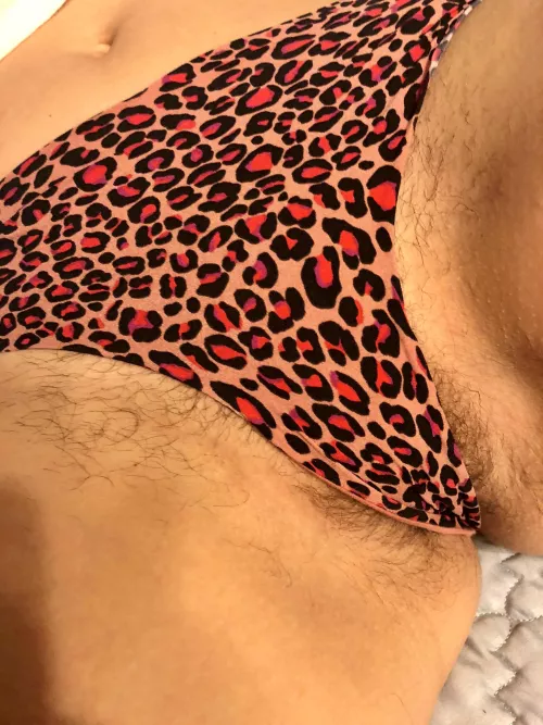 You should see the rest