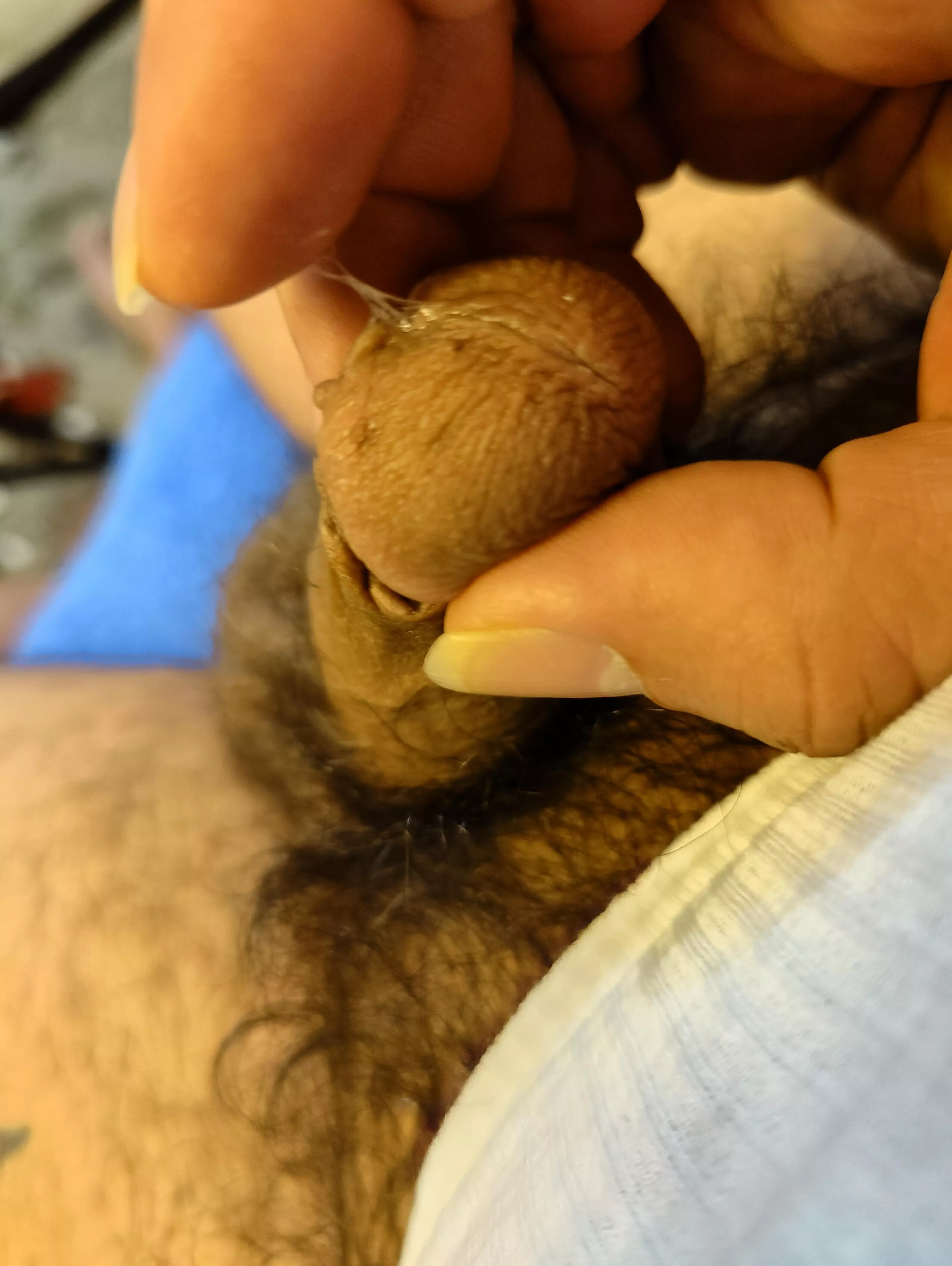 Enjoying ginger dicks on Reddit