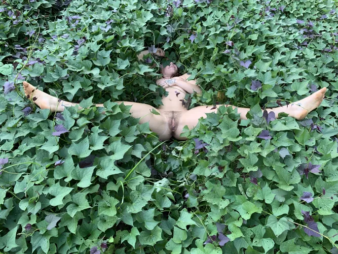 help, i’ve fallen and i can’t get up ;P