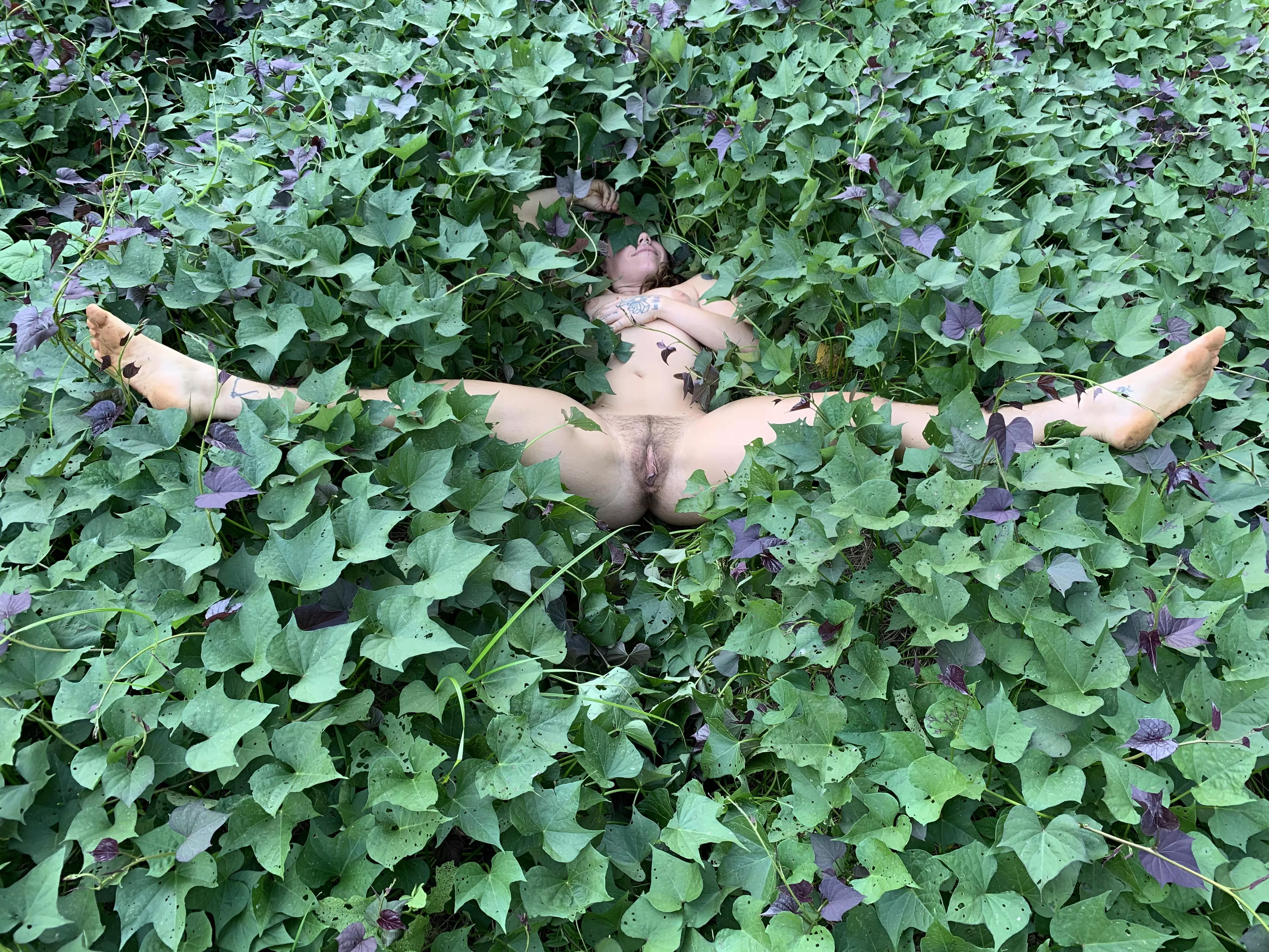 help, i’ve fallen and i can’t get up ;P