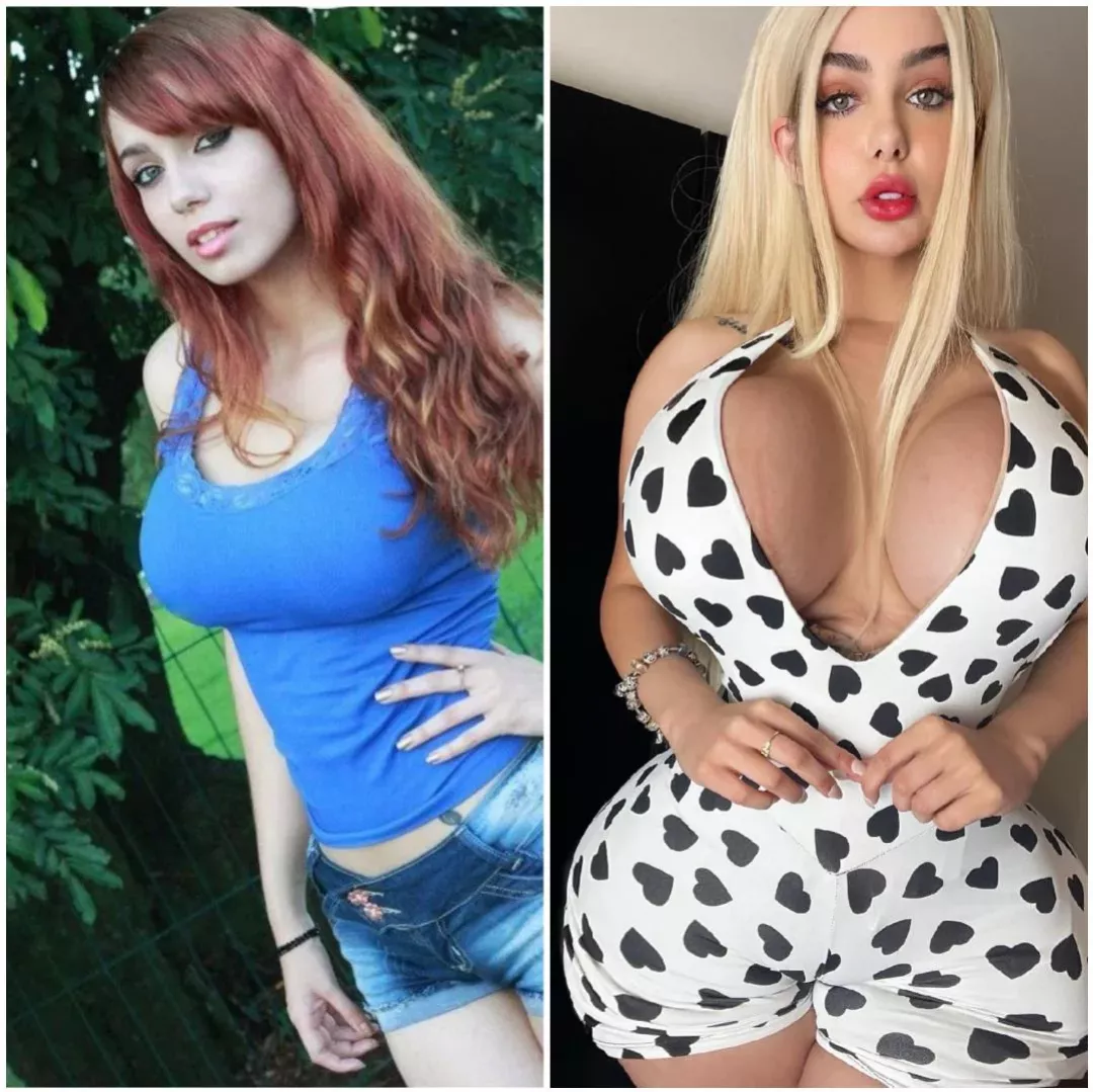Insane bimbofication