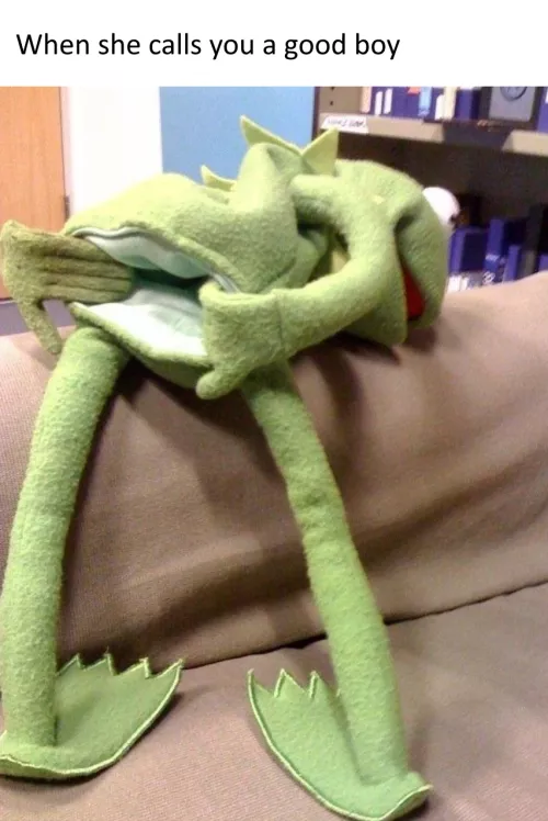 Noo kermit 😭