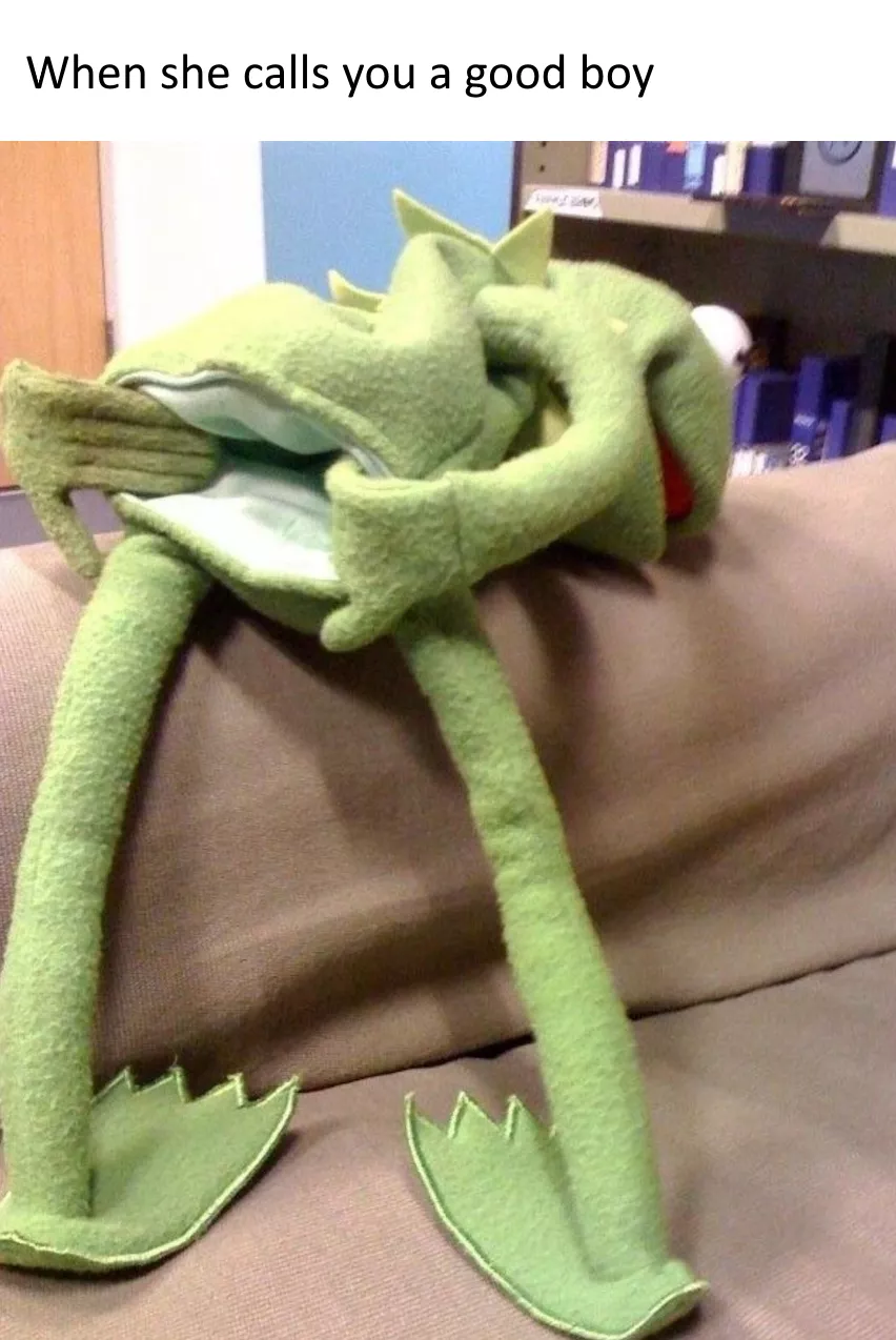 Noo kermit 😭