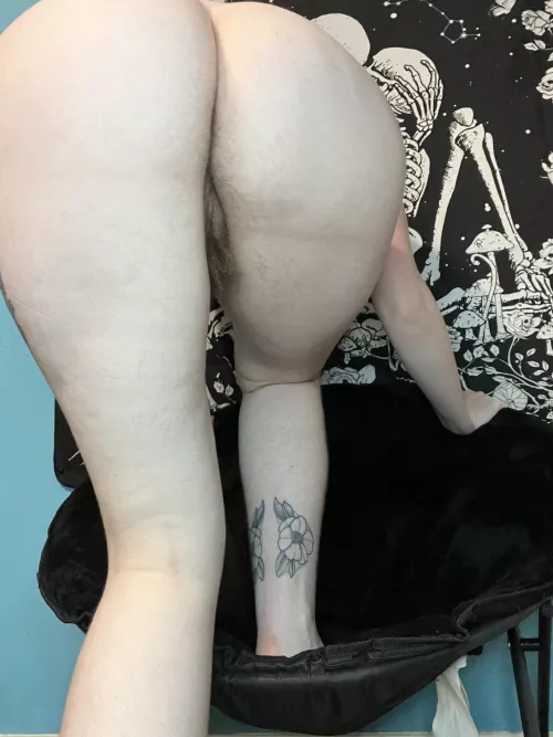 So hairy you can see it from behind 🖤