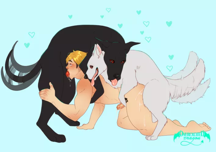Their owner or their gay sex slave? (overexciteddragon)