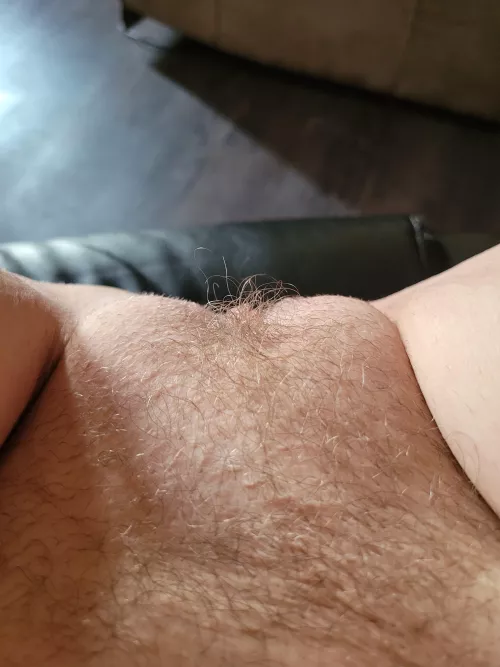 Dinner is served darlin!