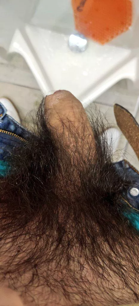Hairy cock