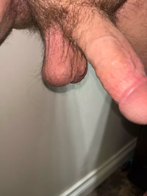 Low hangers looking for a mouth