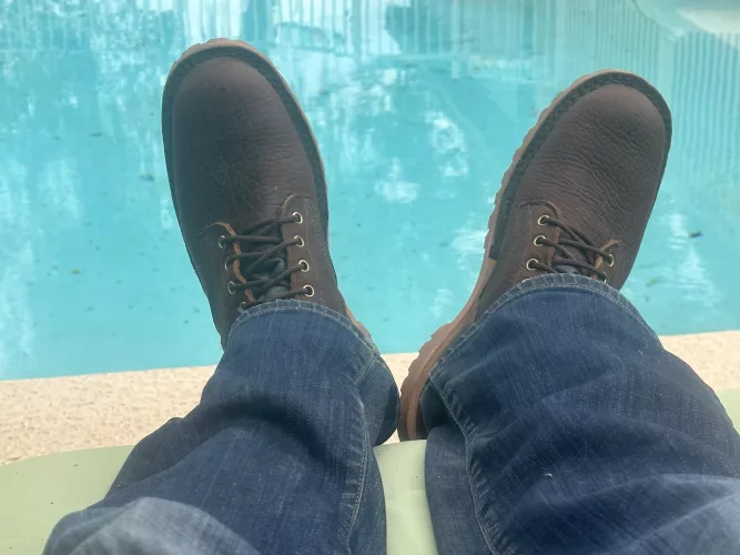 New Bison OTs smooth