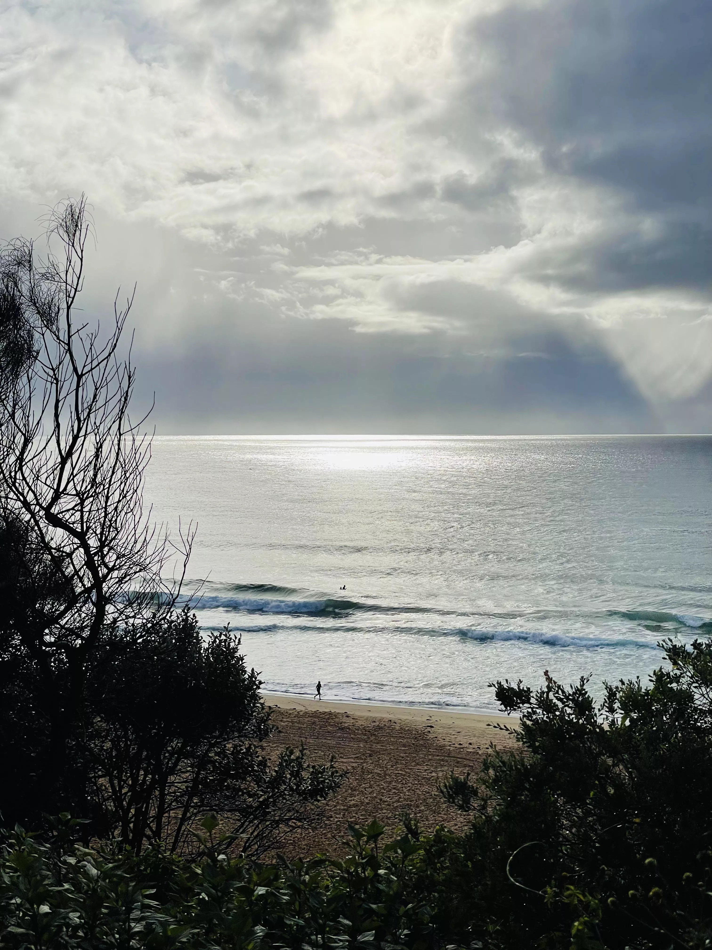 Northern Beaches, Sydney, Australia 🇦🇺