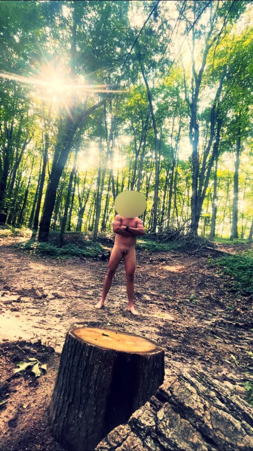 Wandering the woods is my favorite