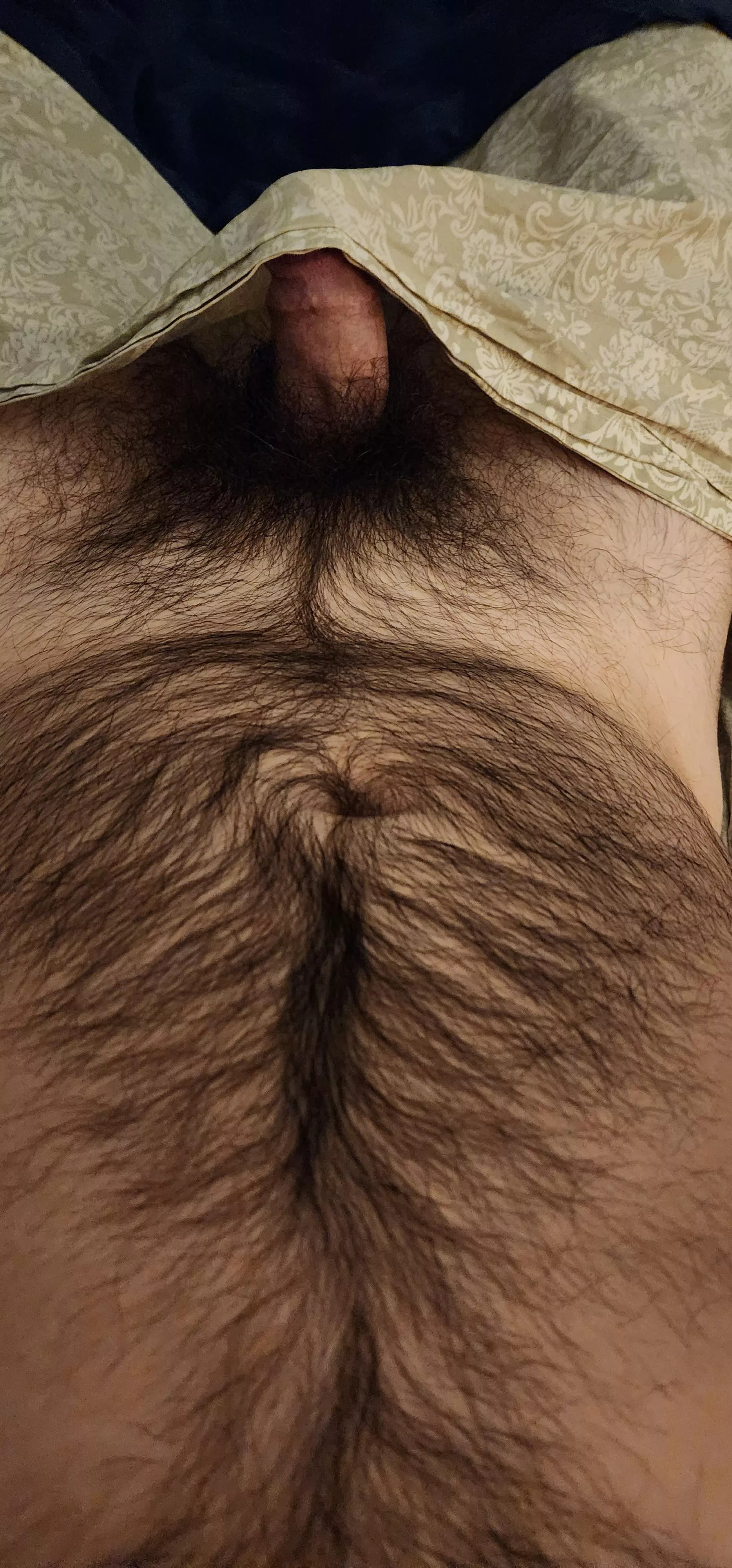 Wood morning! 🌳 lazy Saturday