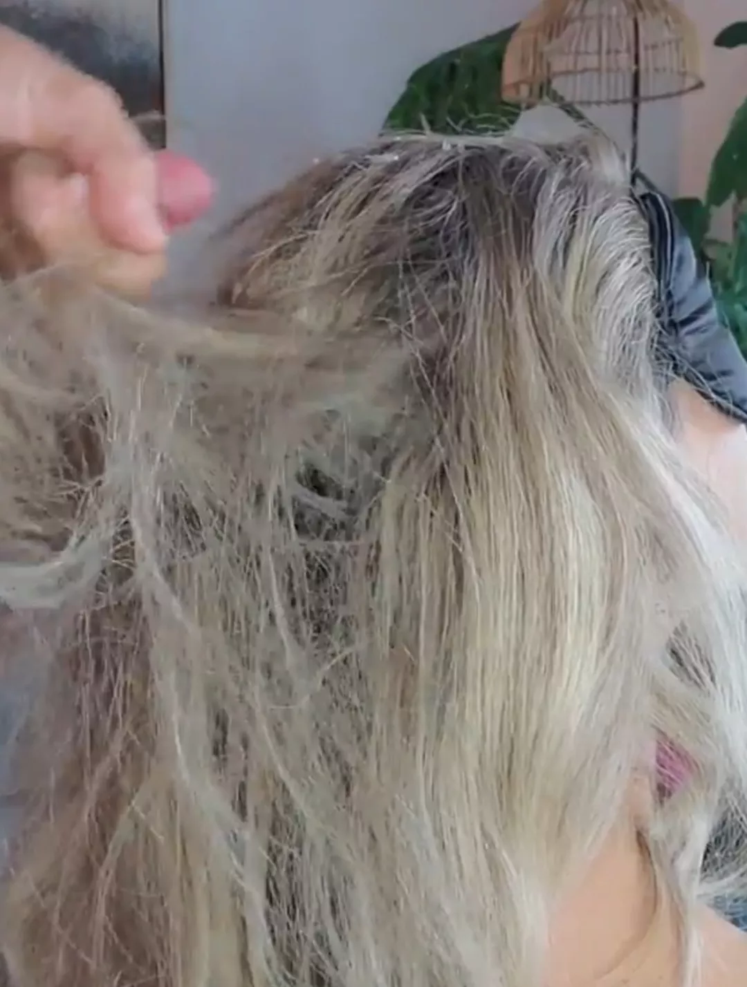 Filmed my first hairjob 💦 DM me for the full video!