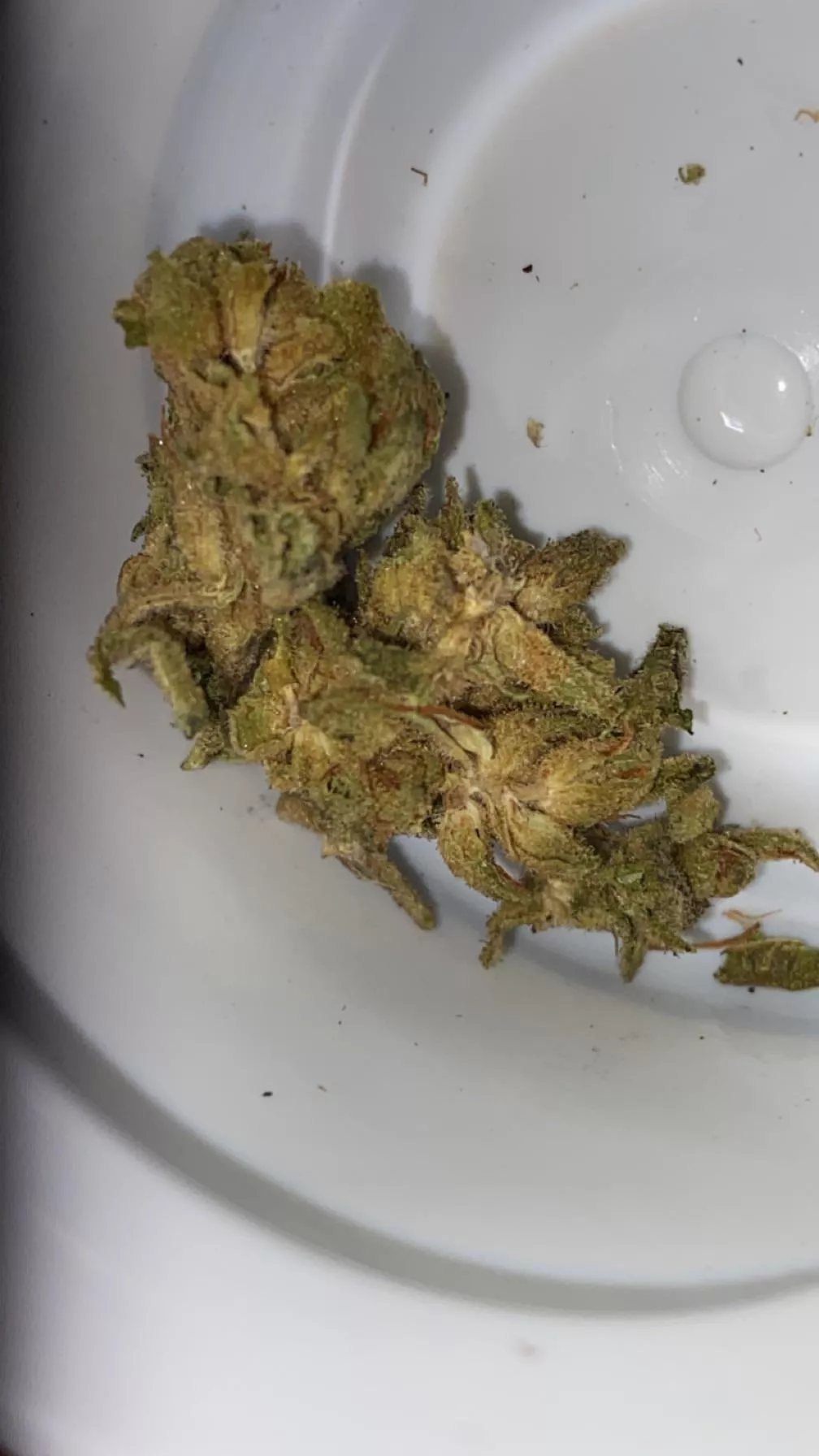 (M) is this weed or?