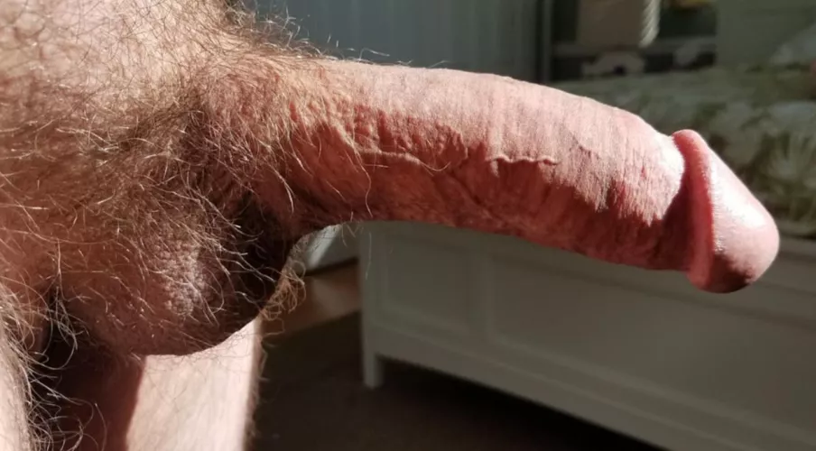 My thick cock in the sun.. 7.5x6.25