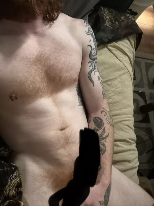 New ginger on the block