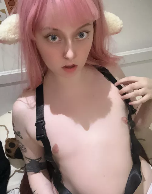 tiny nipples taste better