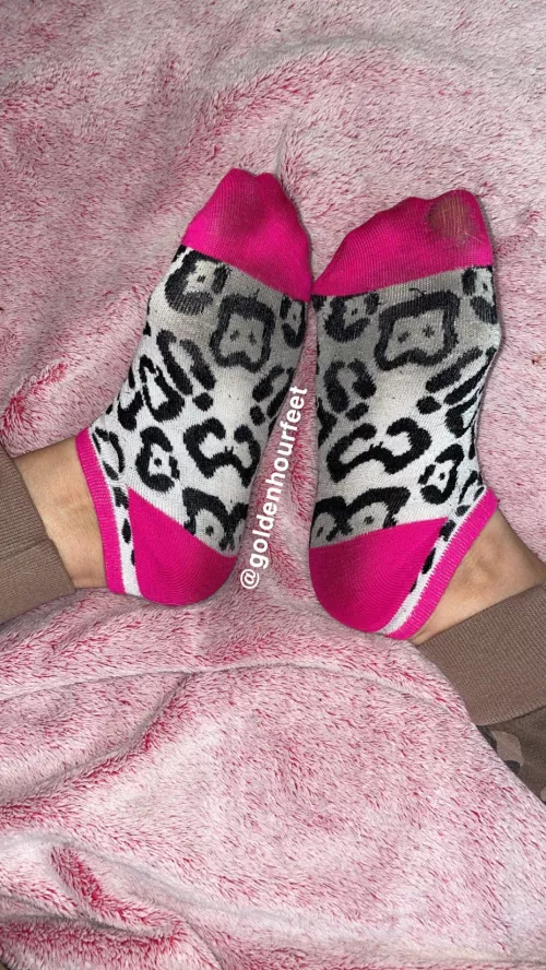 What do you think my socks smell like?😈