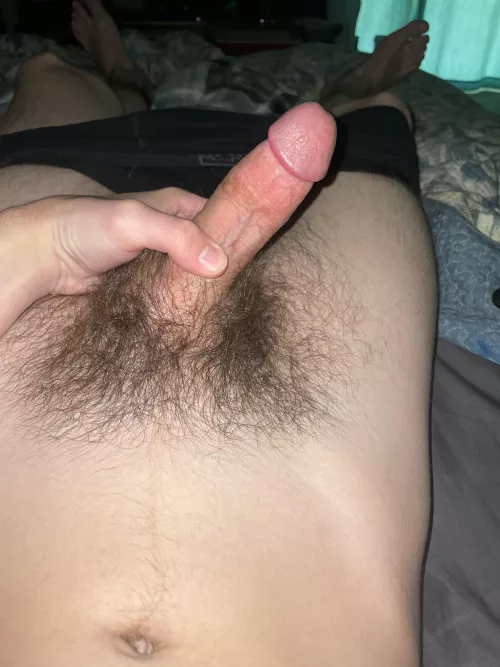 20 morning cock