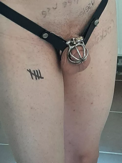 Day 5, almost a week