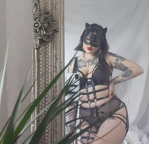 Did you like my outfit?