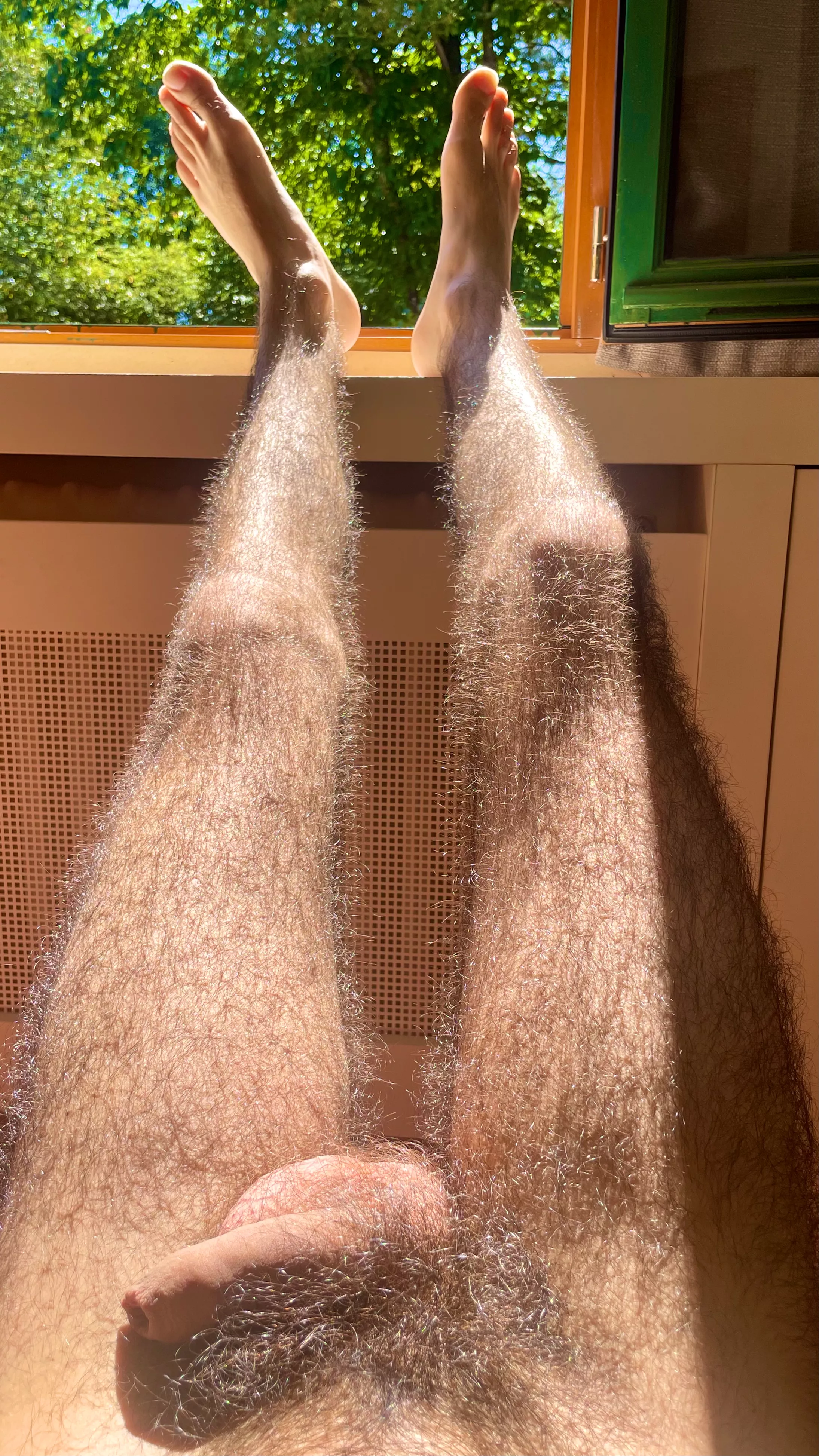 Feel free to pet them