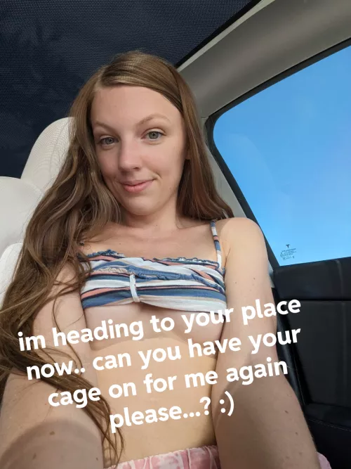 I send you this snap, how fast do you put on your cage?