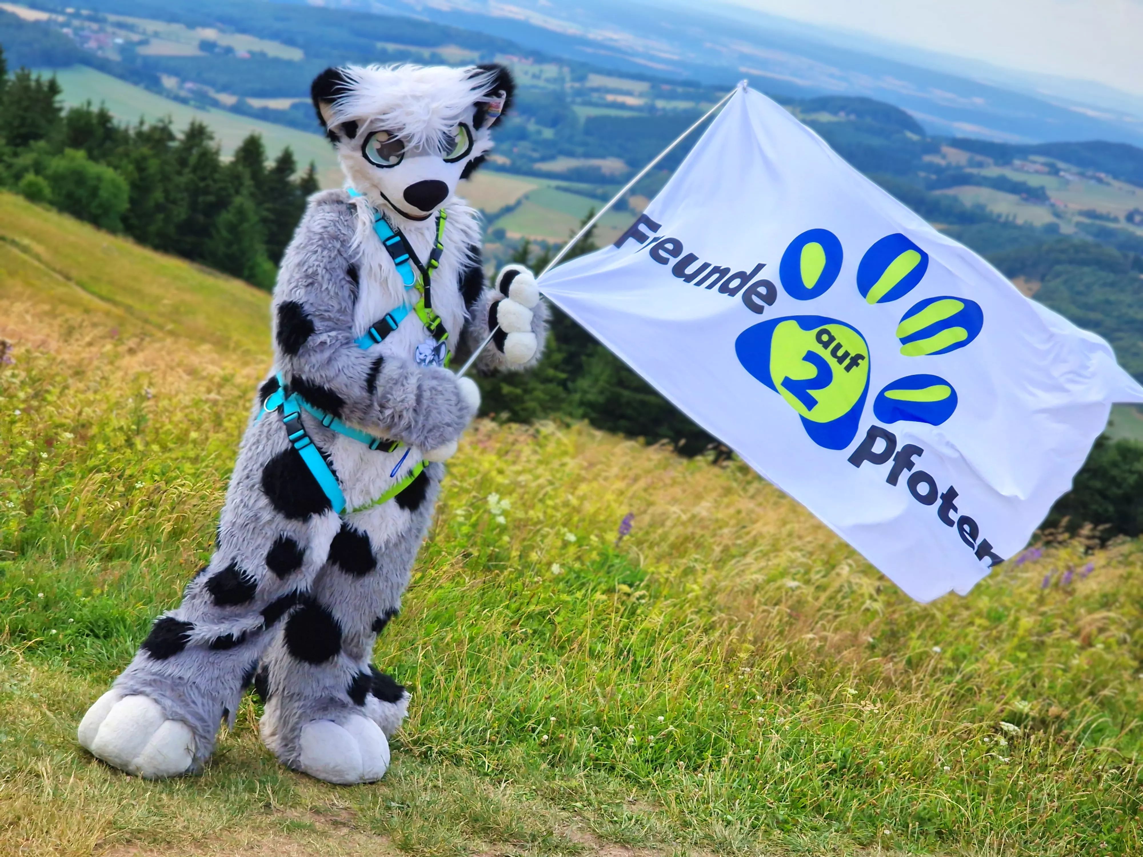 I wish everyone here a wonderful tuesday! ❤️