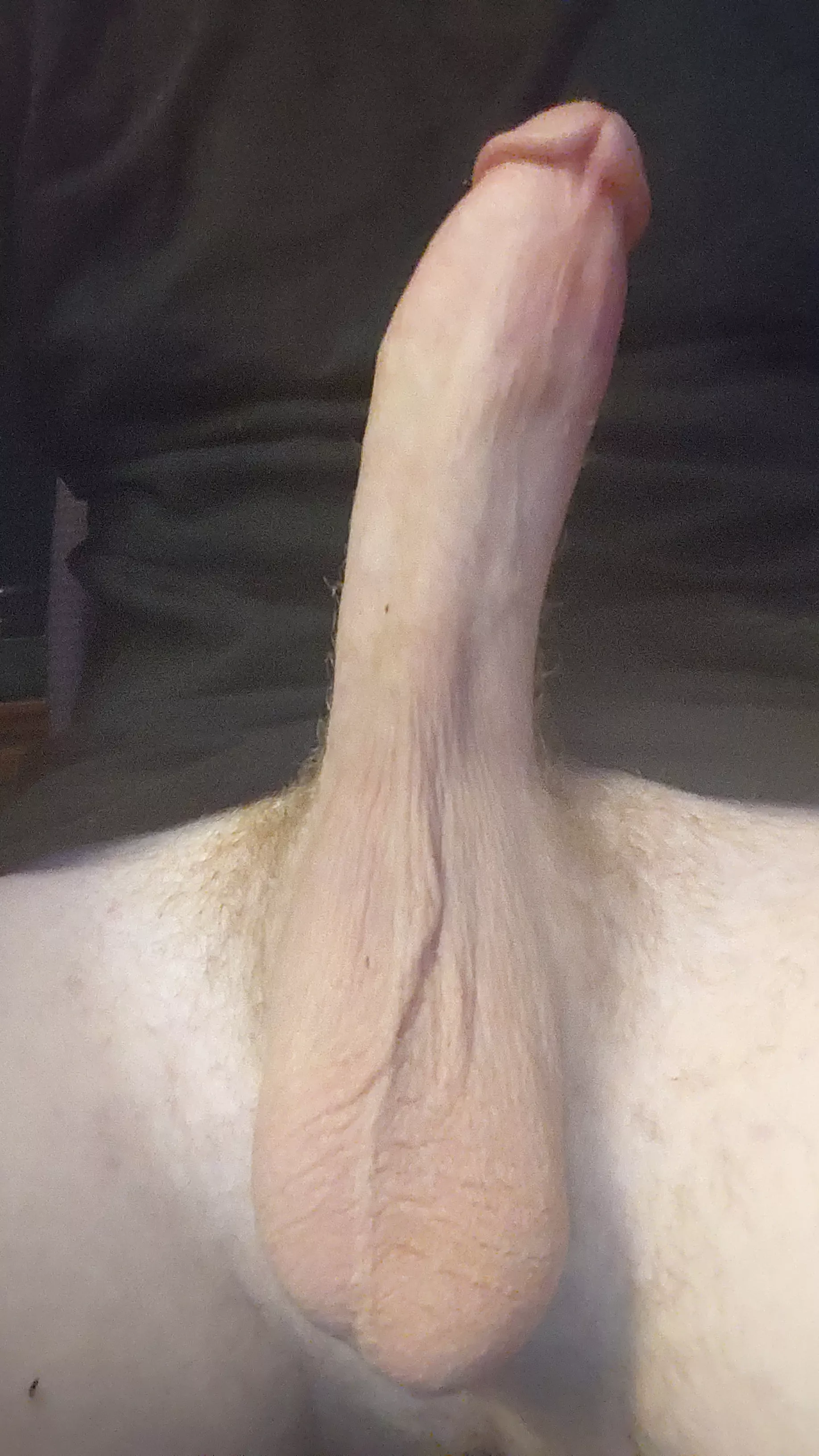 Wyd if I whip this out