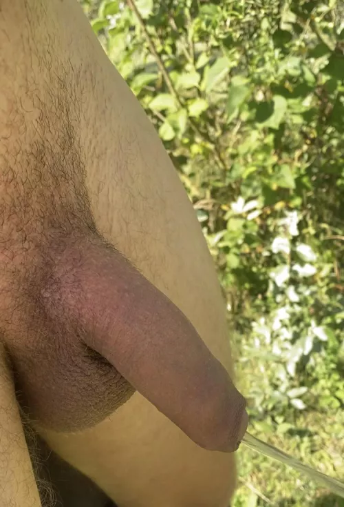 [22] loves peeing outside