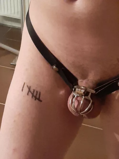 Day 6, feeling fuller