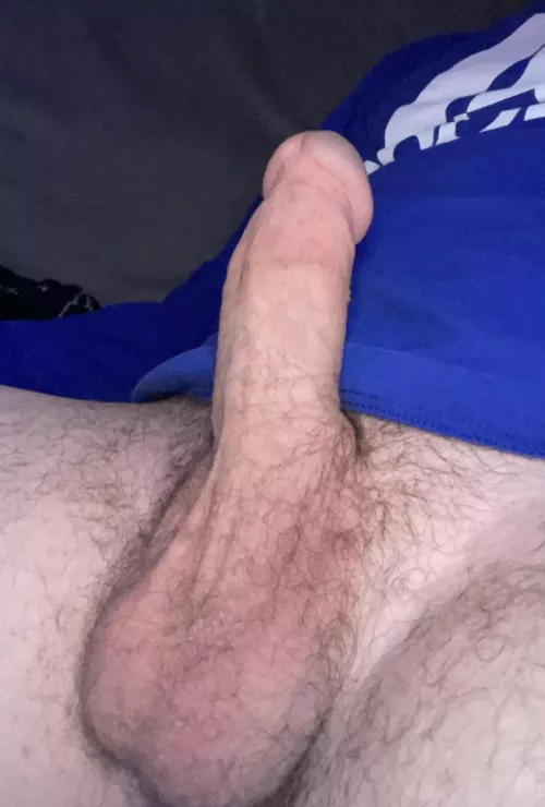 My bull has such big balls. They’d feel great slapping your face as he fills my pussy