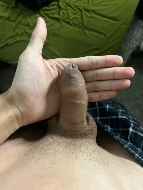 Would you get yours cut