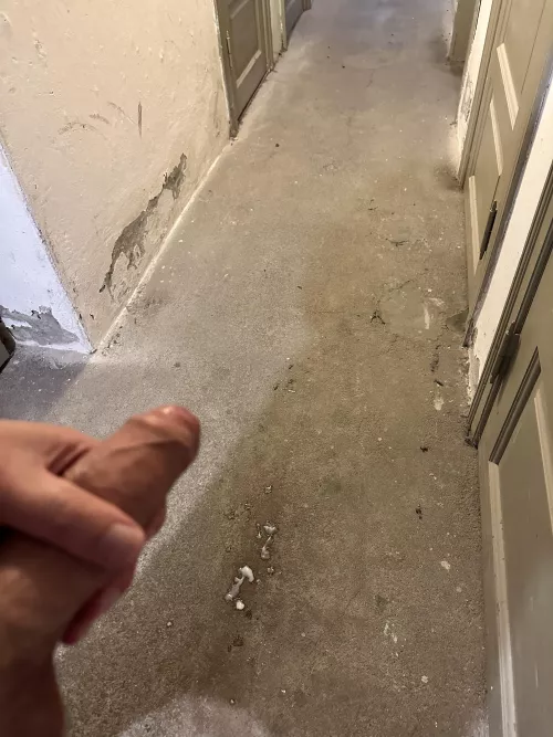 38 bi guy in the laundry room