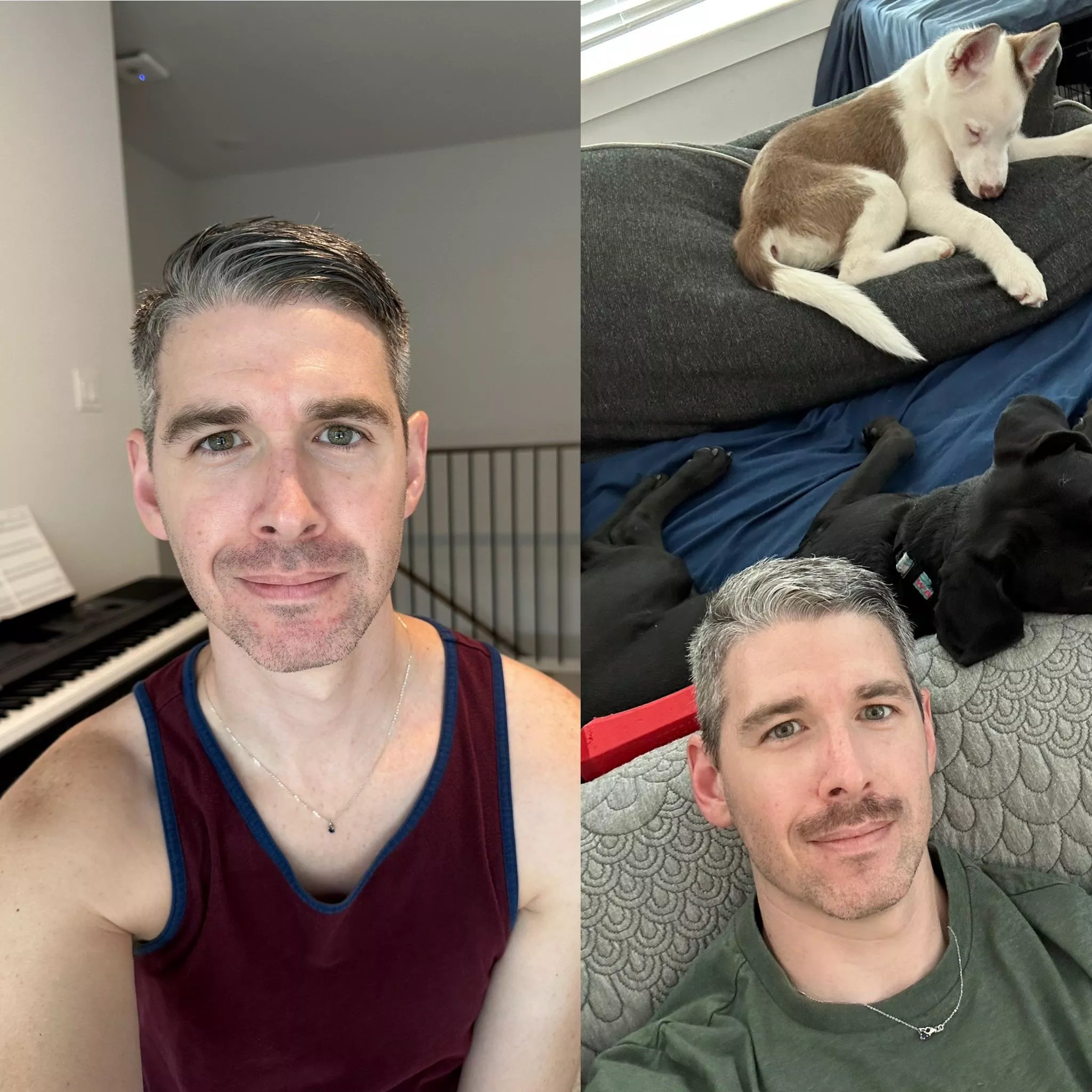 Clean trimmed or mustache. Need voters