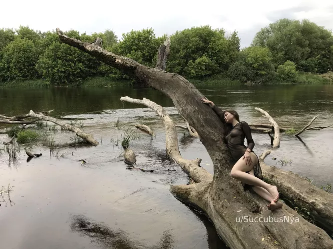 In the Arms of the River