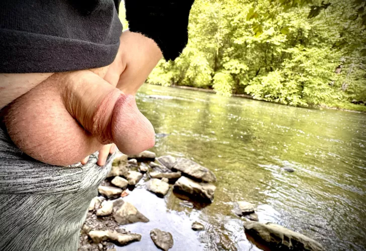 Just an average softie in the wild…