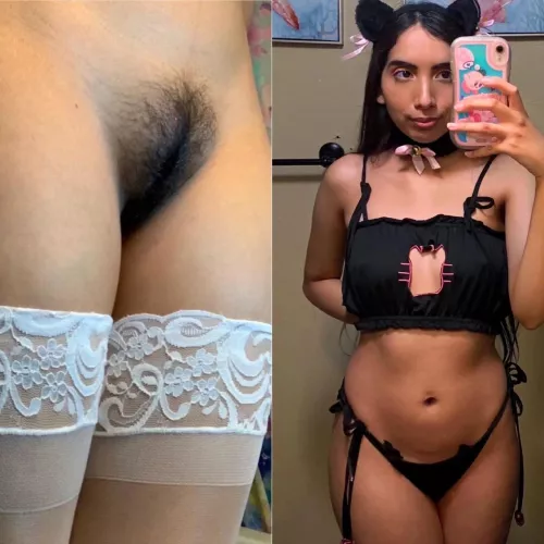 Kitten with fluffy fur