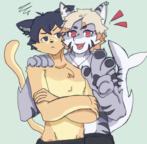 My sharko boy and his new friend!