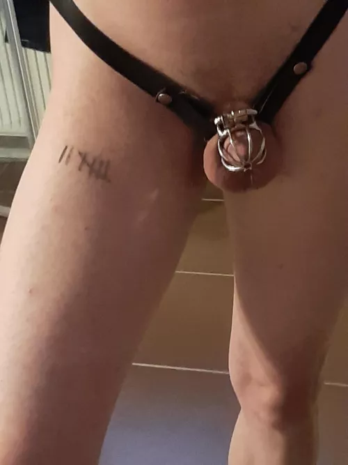 One week, I need someone to fuck the cum out of me