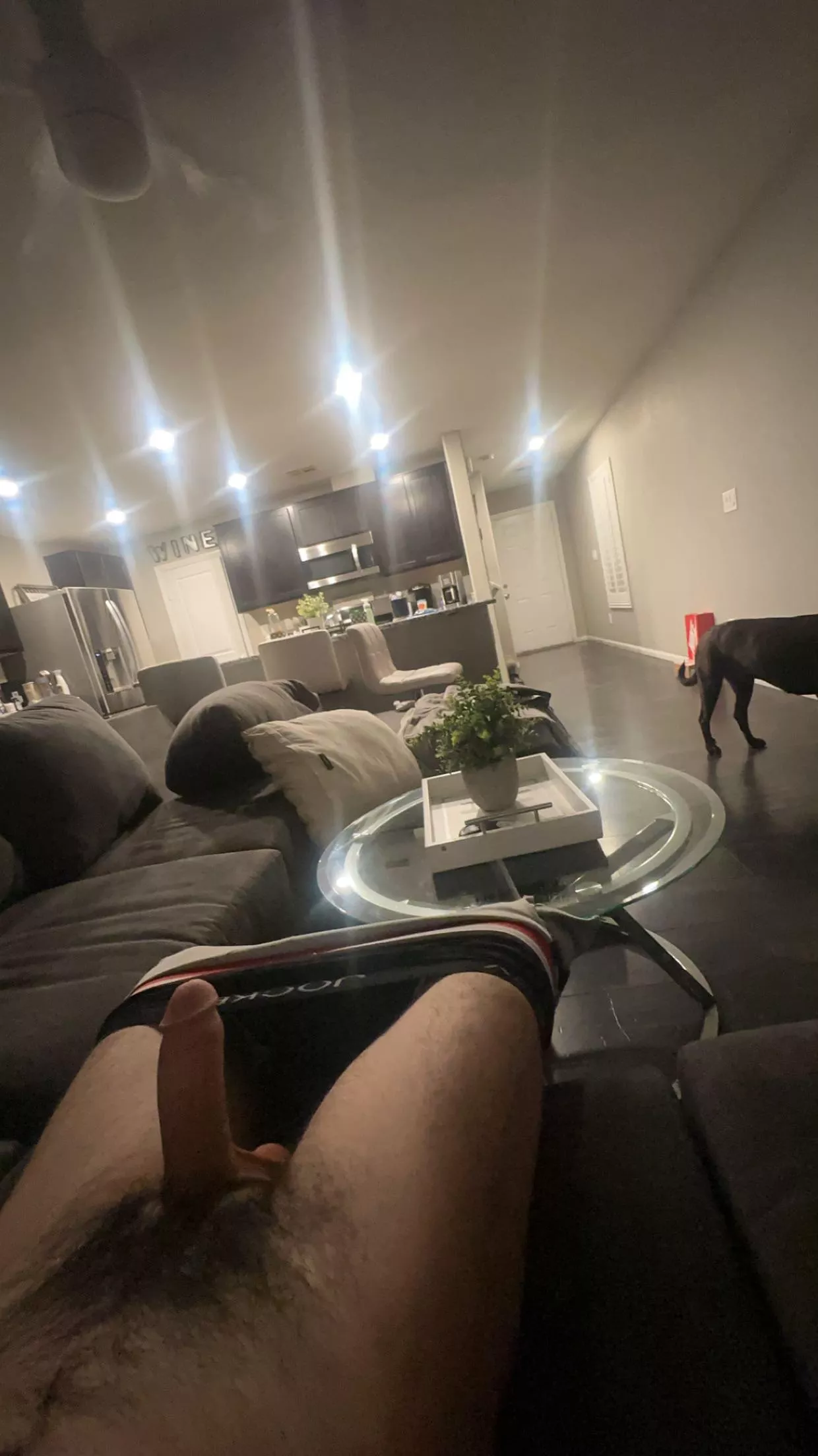 Would you give me head for my first time ?