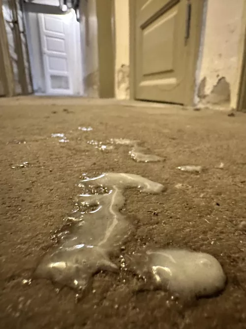 38 bi guy, just doing laundry