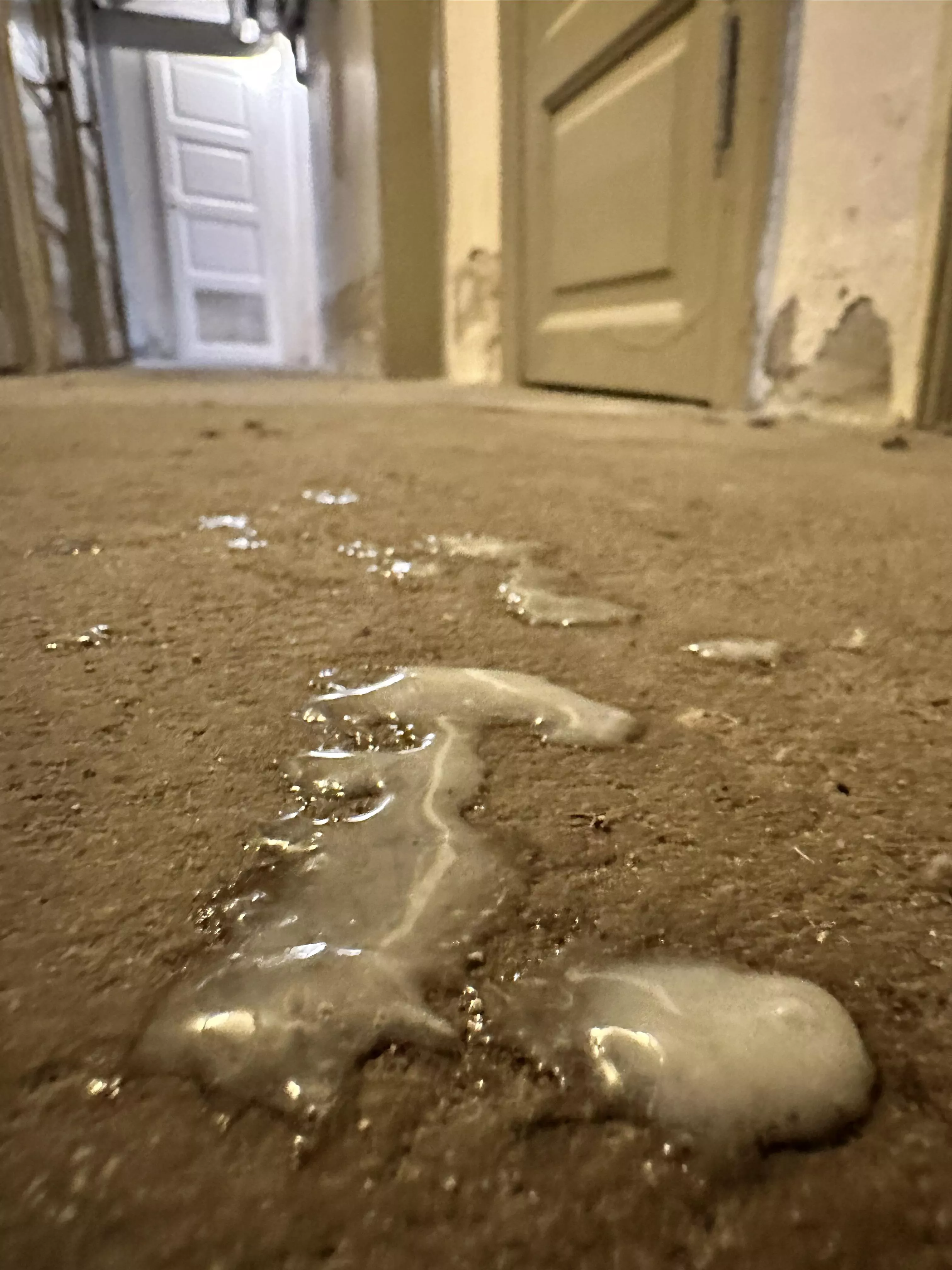 38 bi guy, just doing laundry