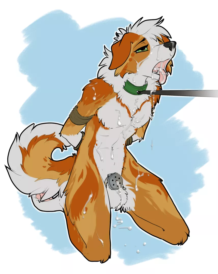 A Good Boy (Ruaidri)