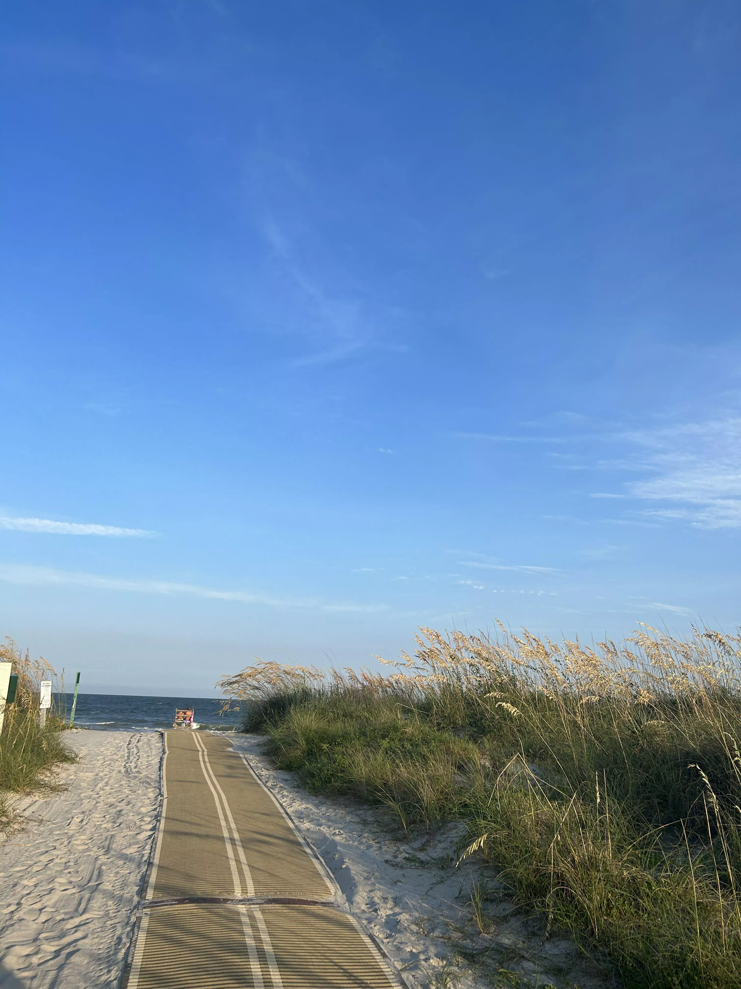 I love this picture !